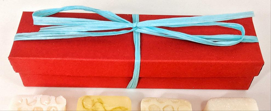 Unscented Mini Soaps Gift Set